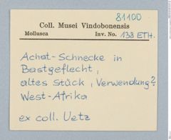 Etikett zu Achatschnecke in Bastgeflecht (NHMW-ZOO-MO-0081100-ETH-138)